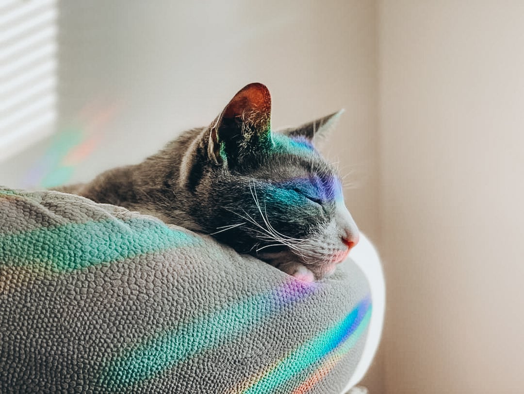 Moonlight Lighthouse Suncatcher