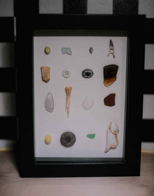 Framed collection of various natural specimens on a white background