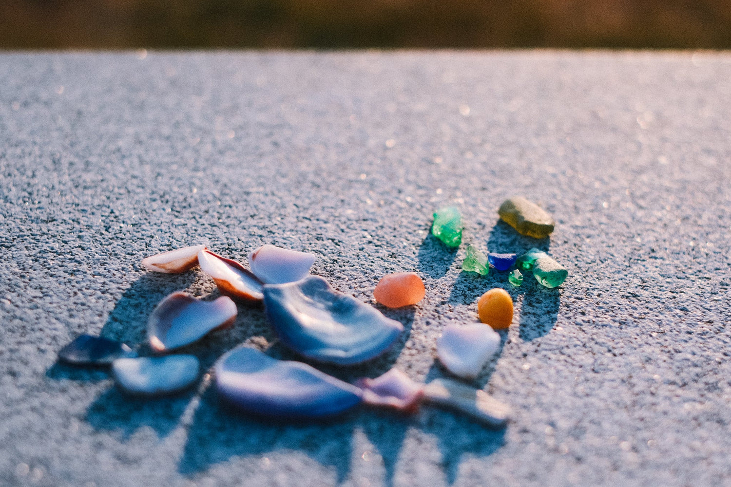 Sea Glass and Shell Shadow Boxes