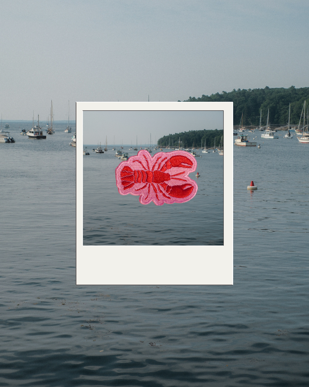 A pink embroidered lobster patch is shown centered inside a white polaroid-style frame, set against a real outdoor harbor scene with water, boats, and trees in the background.