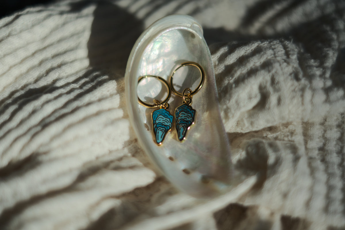 A pair of gold hoop earrings with turquoise blue seashell charms, displayed inside a small iridescent shell on a textured white fabric background.