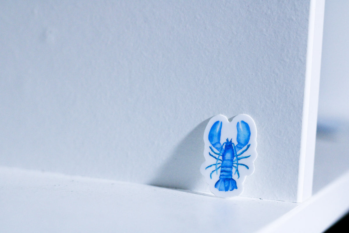 Photo of a mini bright blue lobster sticker on a white background.