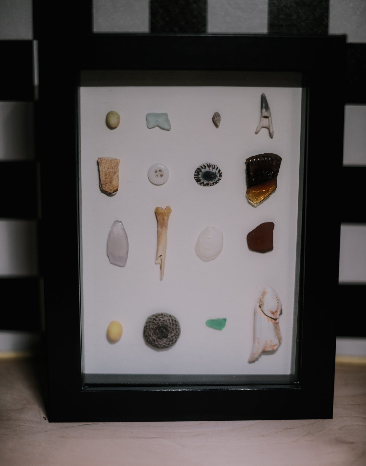 Framed collection of various natural specimens on a white background
