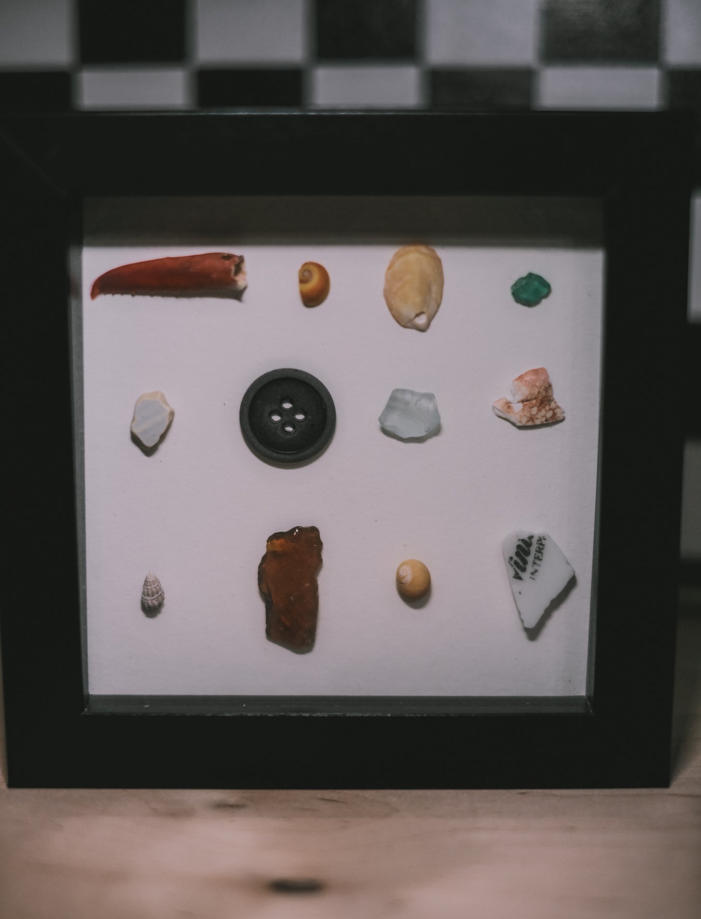 Collection of various shells, sea glass, and a button in a black frame on a checkered floor.