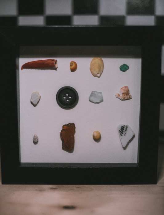 Collection of various shells, sea glass, and a button in a black frame on a checkered floor.