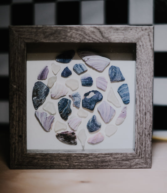 Framed collection of multicolored shells on a checkered background