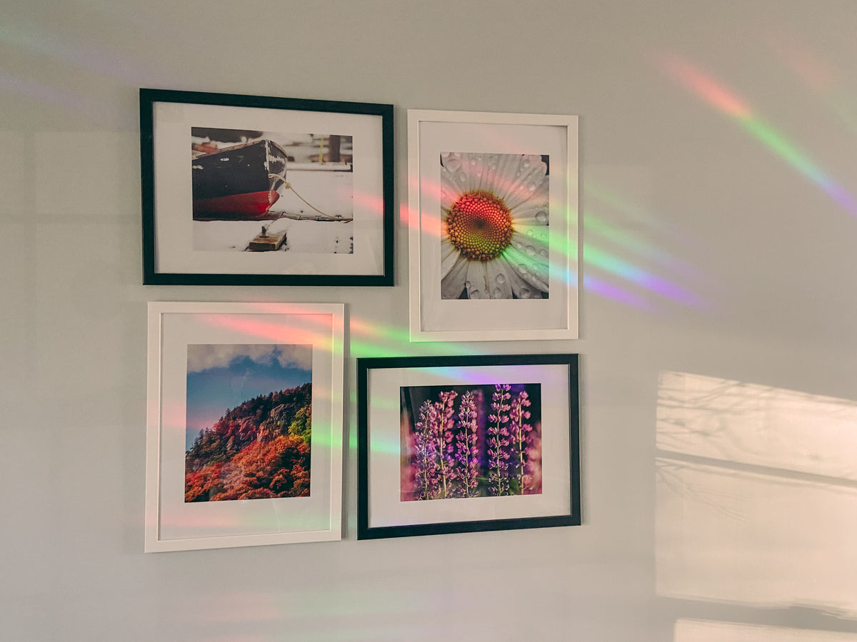 Four framed landscape and floral photographs arranged on a light gray wall, with rainbow light beams casting across the wall from a nearby window.